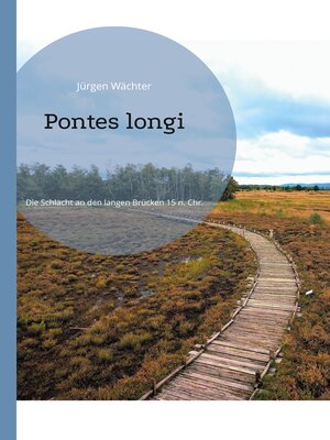 cover image of Pontes longi